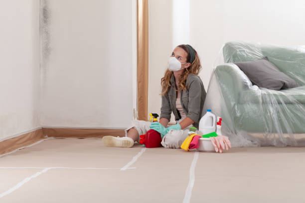 Reliable Mold Remediation contractor in New Hope, MN by Mold Remediation HQ